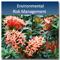 Environmental Risk Management